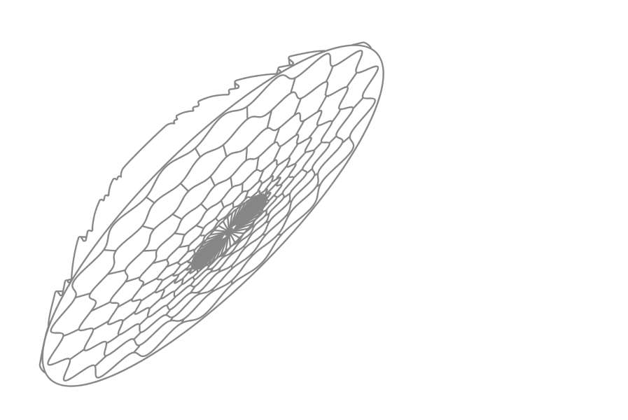 Grafik Nivo Transmission