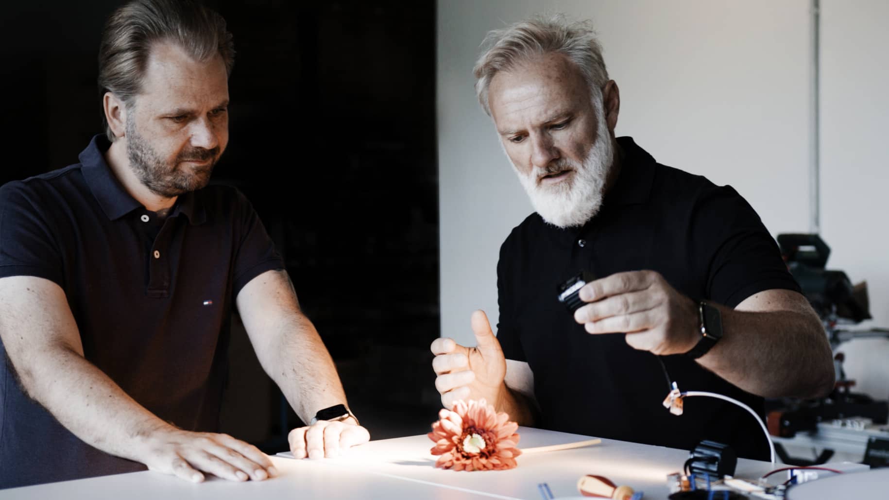 Sigor Unternehmen Optimierung